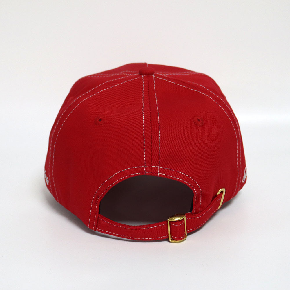 Prescient Trucker Cap