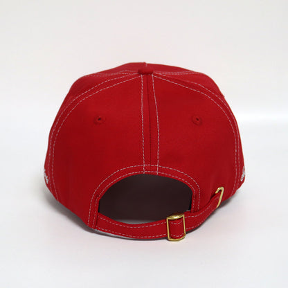 Prescient Trucker Cap